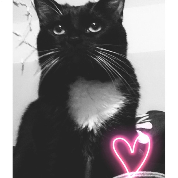 Meet your Posher, Sarah - Picture 1 of 1